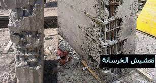 معالجة تعشيش السقف